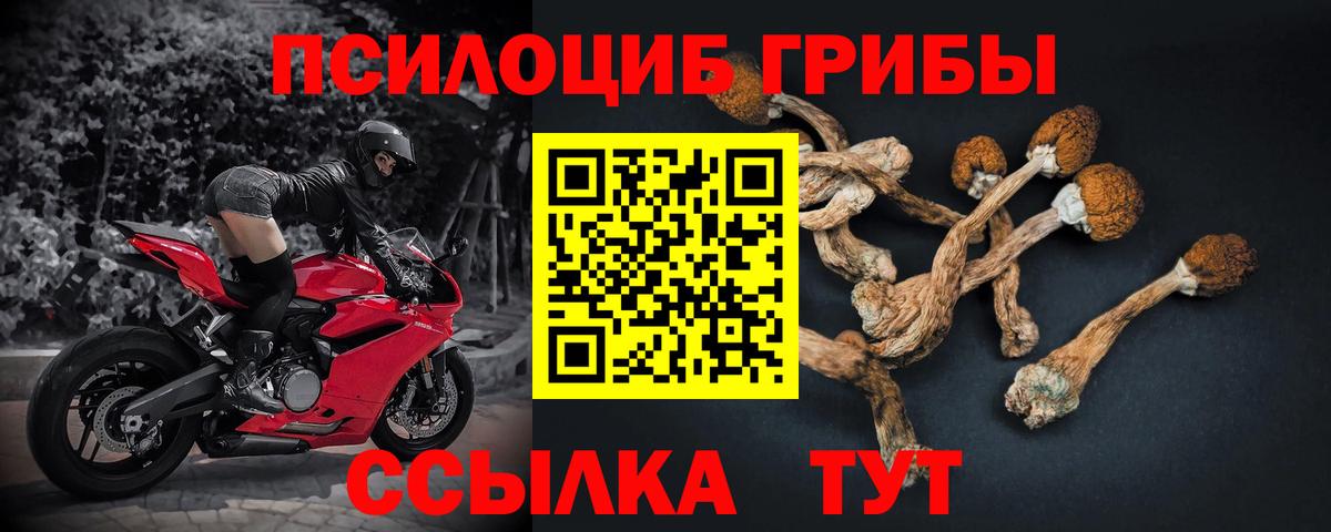 Псилоцибиновые грибы мицелий  Вход с VPN  Белогорск  Галлюциногенные грибы Magic Shrooms 